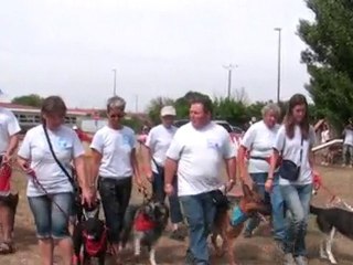 1er passage du carrousel 2010, 1ère partie