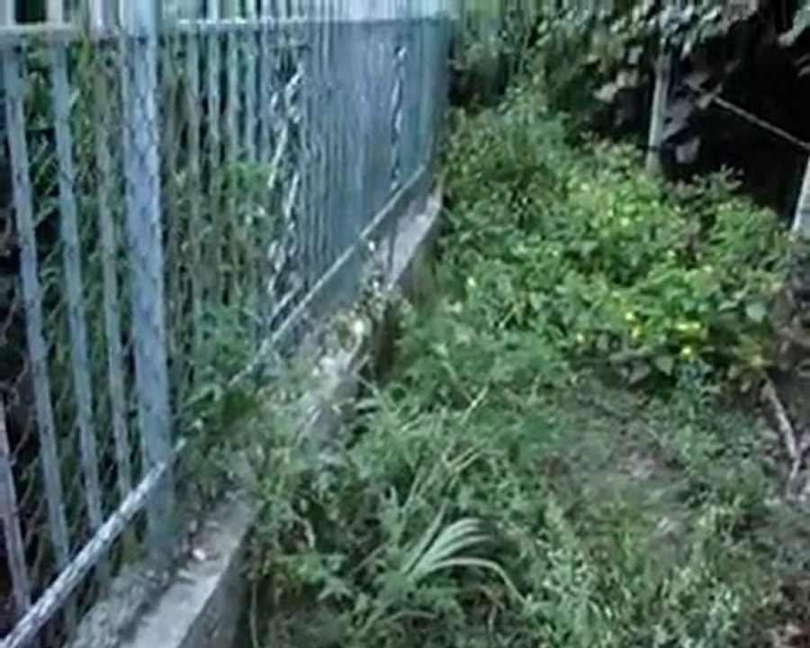 Vicini Seconda Parte