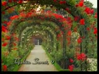 Kuran Meali: Teğabün Suresi