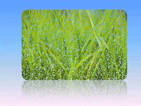 Anxiety Attacks Cure - Self Help Treatment Video