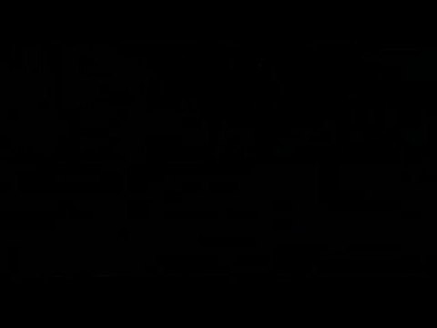 berger belge malinois entrainement de ring