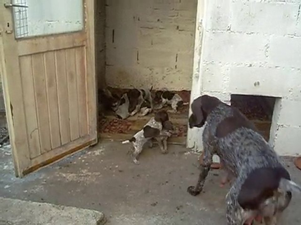 18.09.2010 Şans & Yavrular - 1