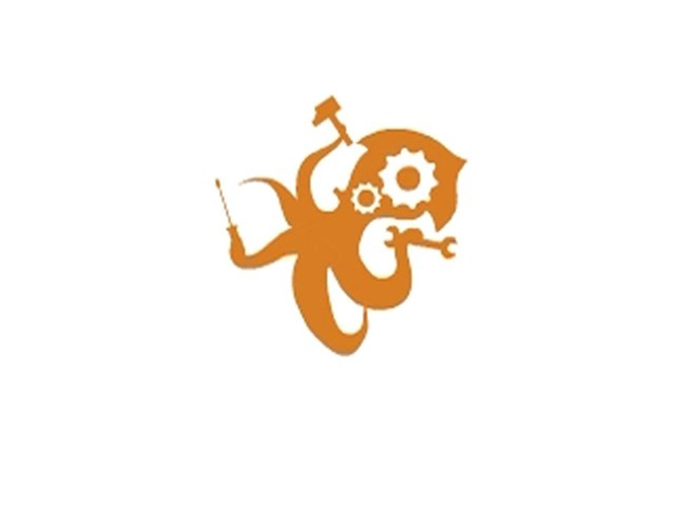 Animation flash logo nanard