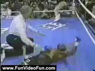 Funny Videos: Family Bloopers