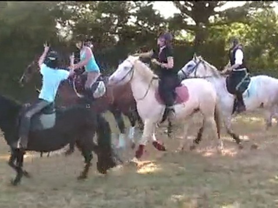 Fête des Centaures 2010, Horseball