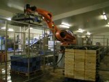 Robot de palettisation avec préhenseur: caisse et colis bois