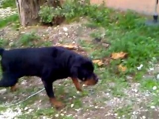 ZEN "J'ai maintenant la possibilité de faire mes besoins"