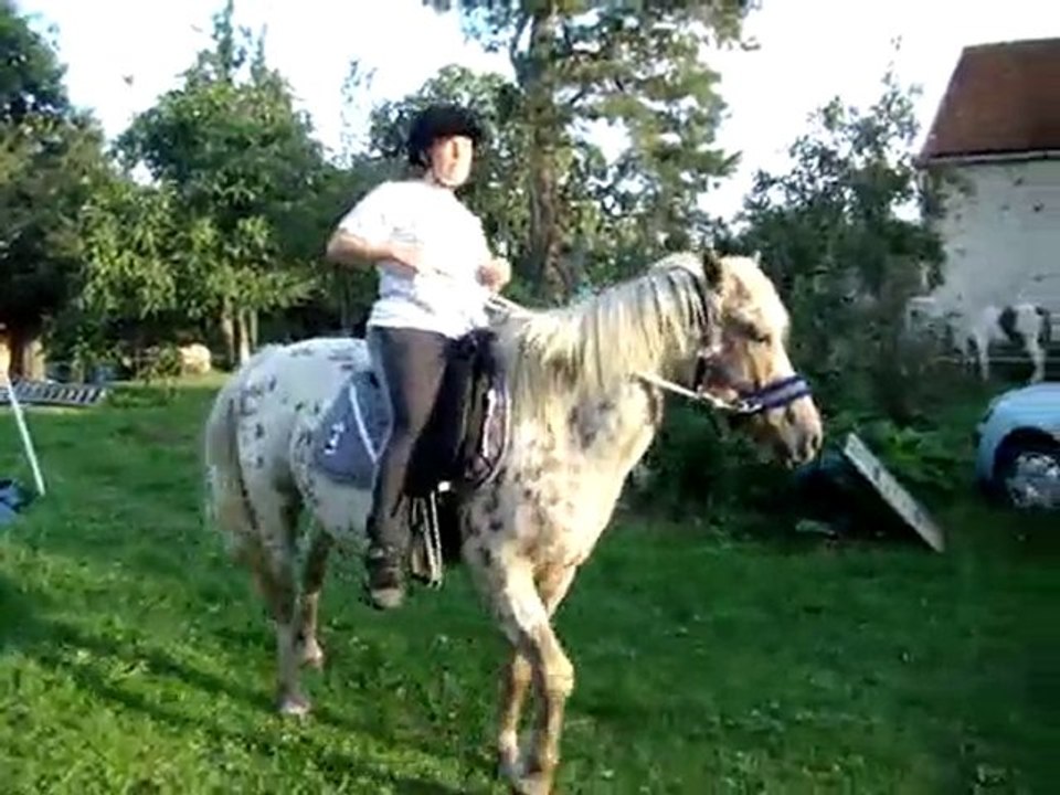 Timec dans le jardin