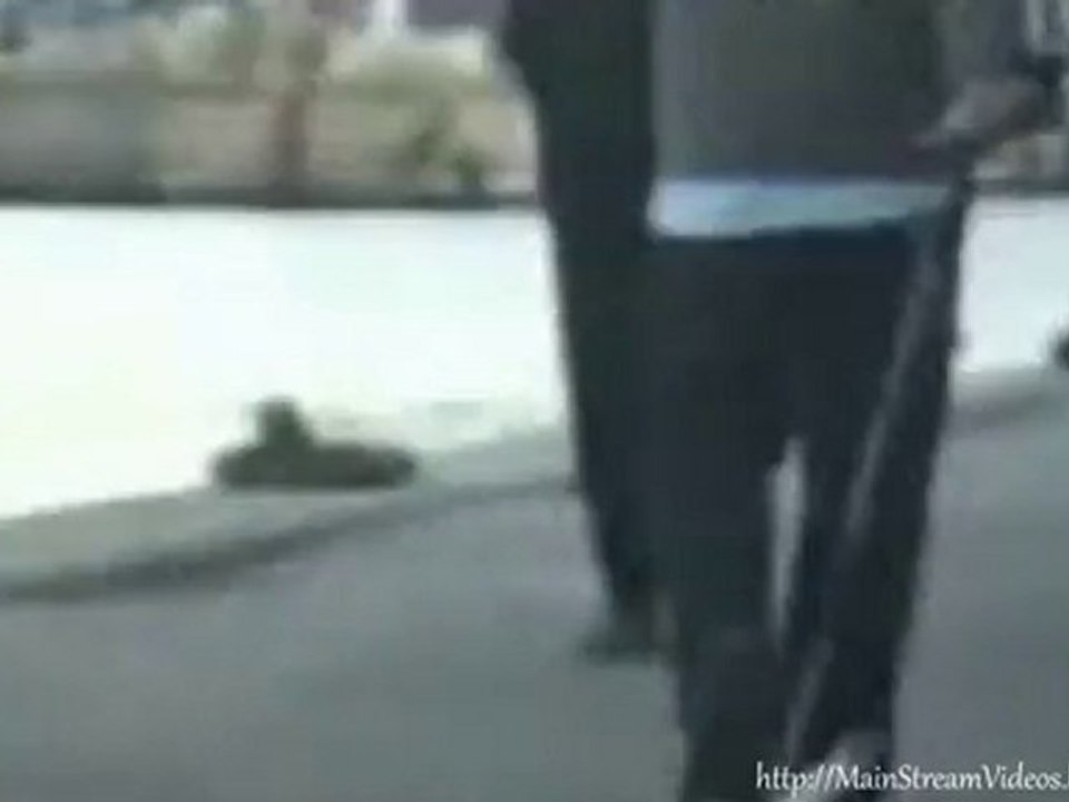 Dog Doesn't Feel Like Walking