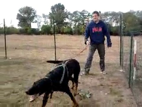 François & After 2 Club samedi 18 septembre 2010