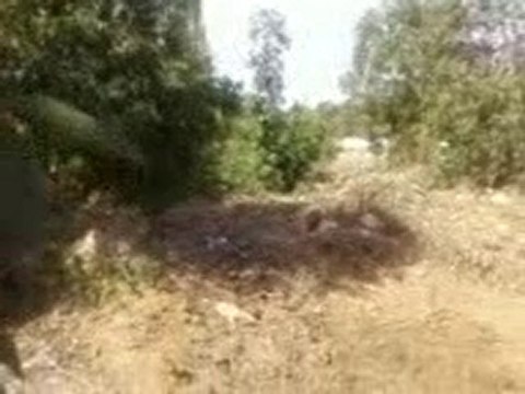 rades tunis la forét