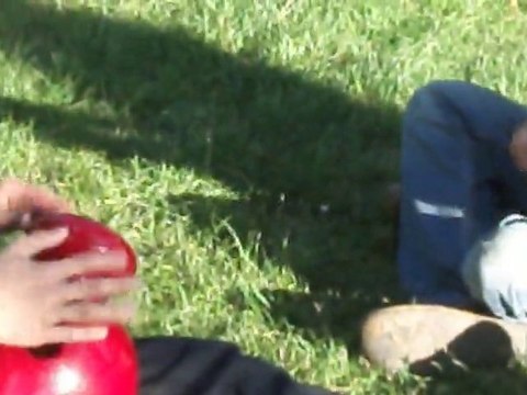 Campus de la Cité Universitaire Internationale à Paris