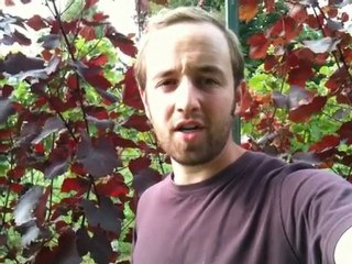 Herrenhof Episode #12 - Biodynamic Viticulture