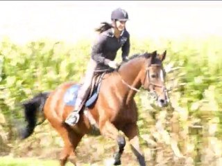 séance de plat : 18 septembre 2010