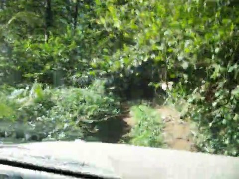 Monique Mitsubishi Pajéro Rando Allier 2010 IM91mpg