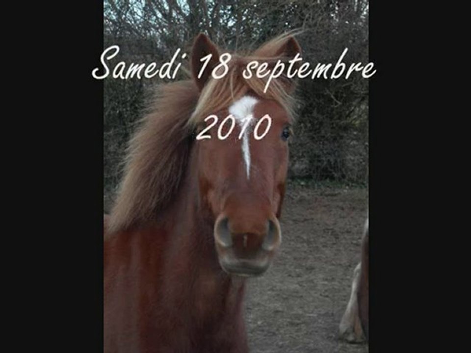 Caramel ♥ en Pony-Game