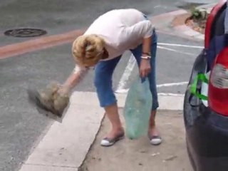 Premières gouttes de pluie