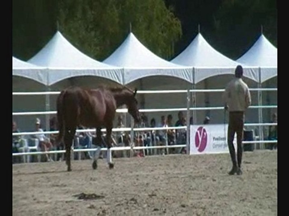 extrait démo midrac