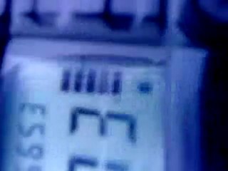 petite pousse du bbb sur laxe nord sud