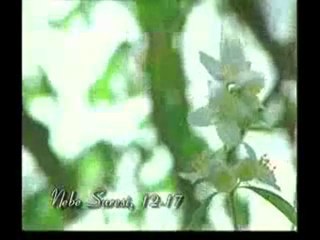 Kuran Meali: Nebe Suresi 1-31