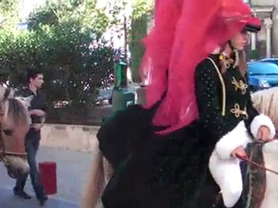 Cheval la Fete à Pertuis sud vaucluse