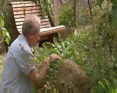 préparation et distillation des huiles essentielles