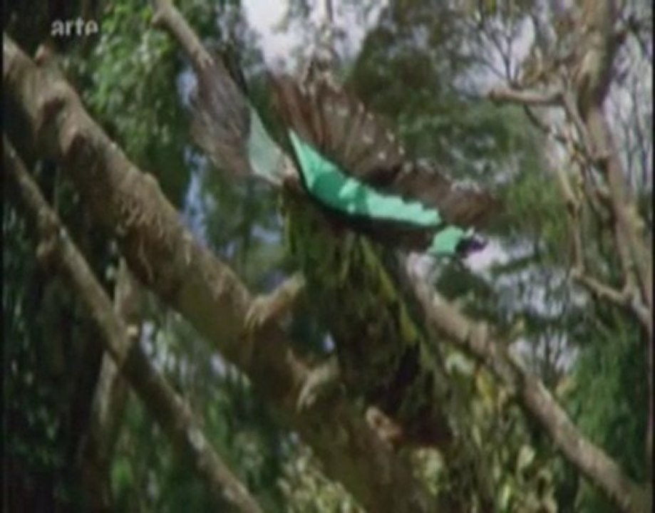 3/les rois du désert (partie 2)