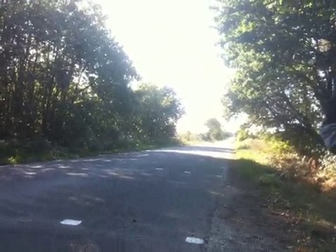 aprilia rs 50 ORNI powere by ZinZin / FLC racing / Dam-sport