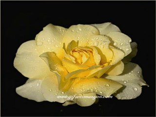 Kuridish Heritage Bahram Bashir