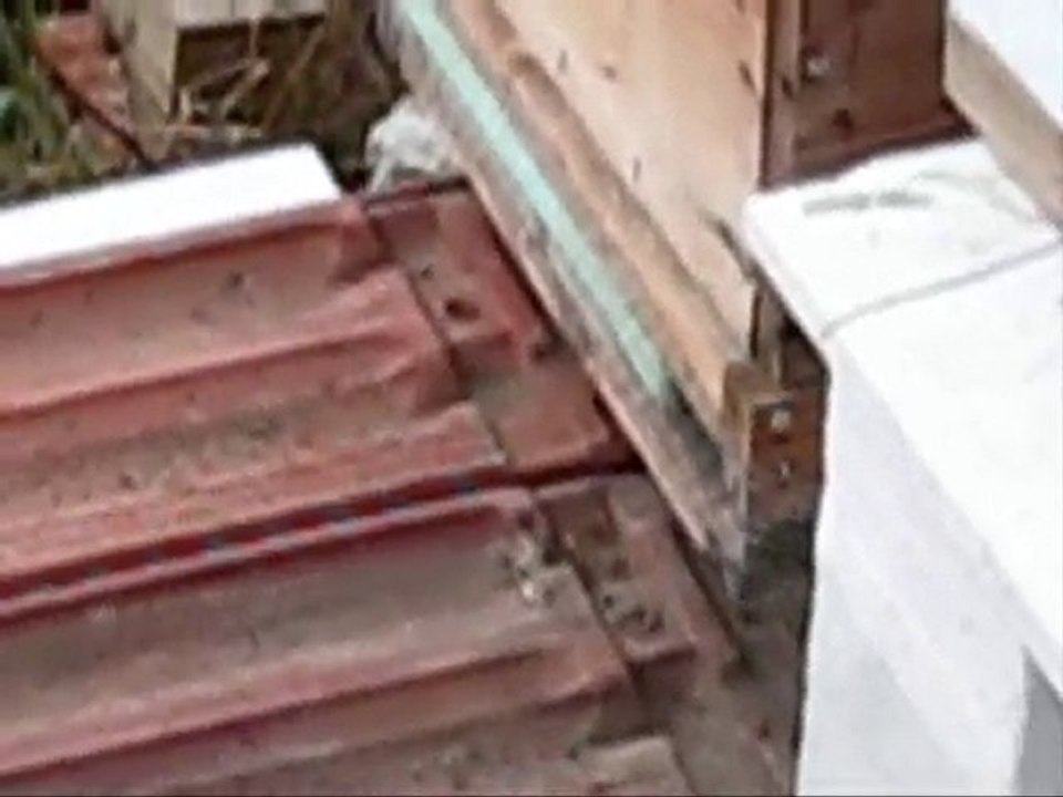 Yagmacı kovan