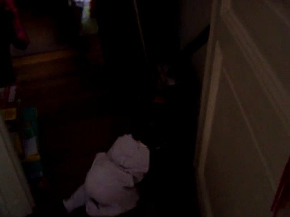 Meïline en mode je rampe à 10 mois