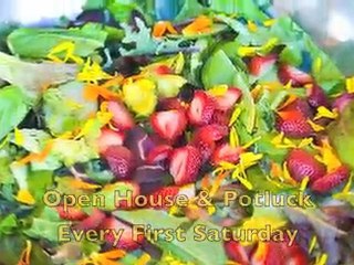 A visit to San Diego Roots Sustainable Food Project