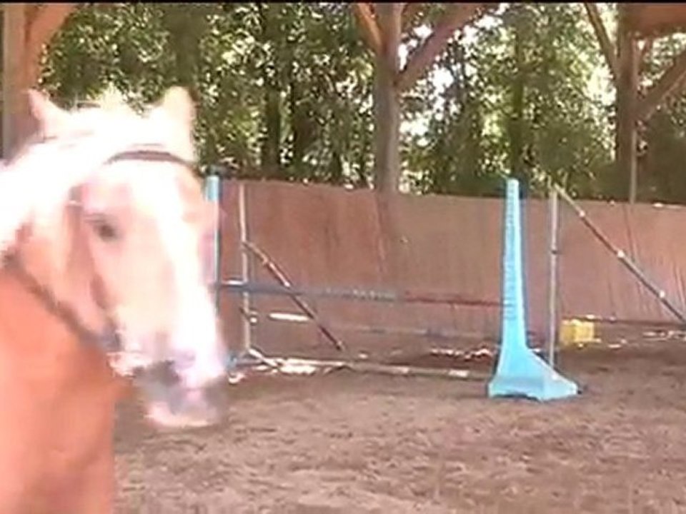 Fête des Centaures 2010, Puissance