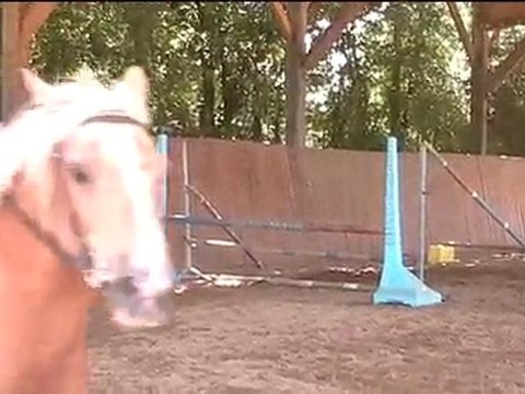 Fête des Centaures 2010, Puissance