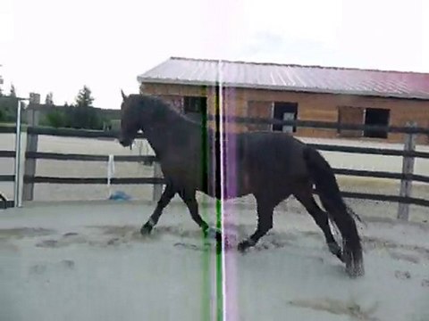 Quiator rond de longe sept 2010