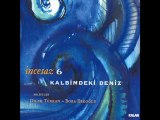 İncesaz - Sesimi Duy İsterdim