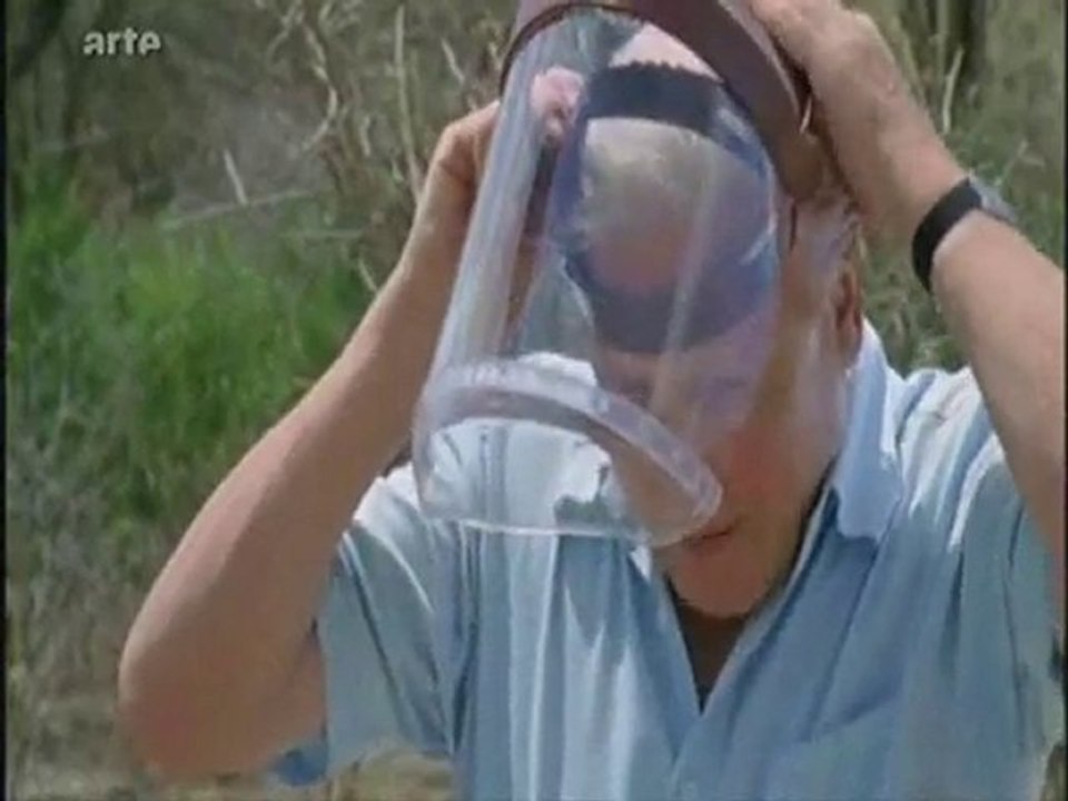 4.les rois de la glisse (partie 2)