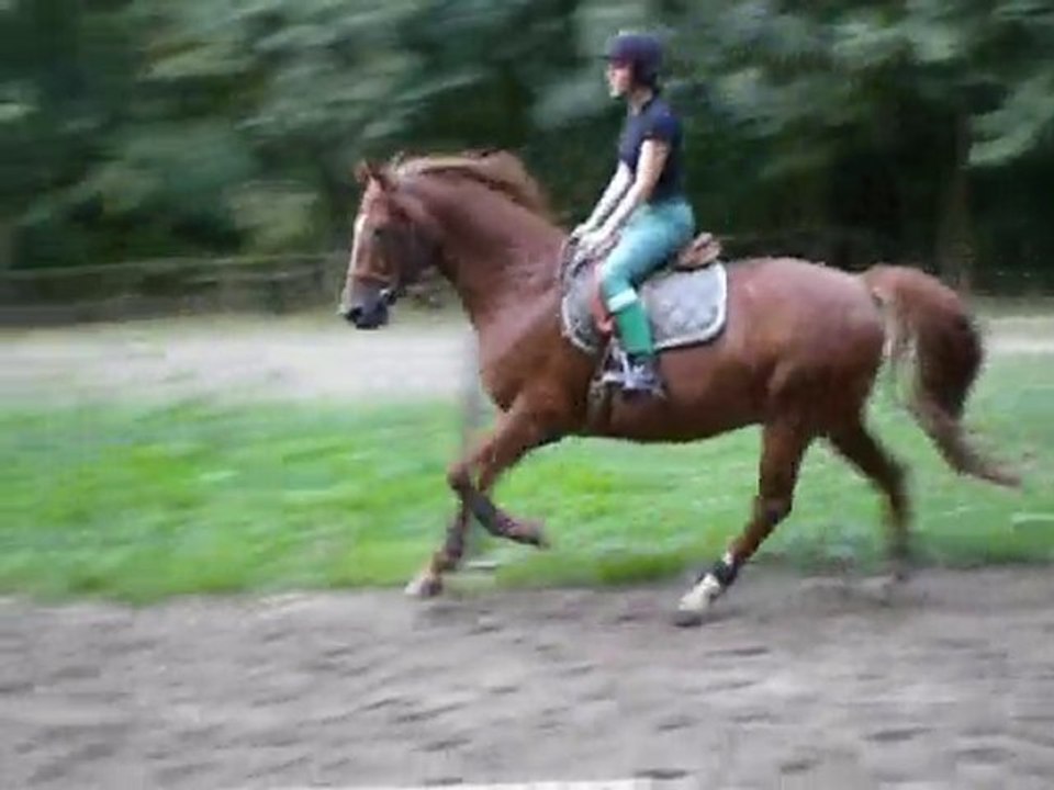 Olaf on tente le galop