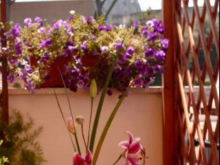 Spring Your Life - Best Western Spring House, Rome, Italy