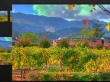 Sonoma County Wine Tours | Sonoma Wine Tasting Tours Napa