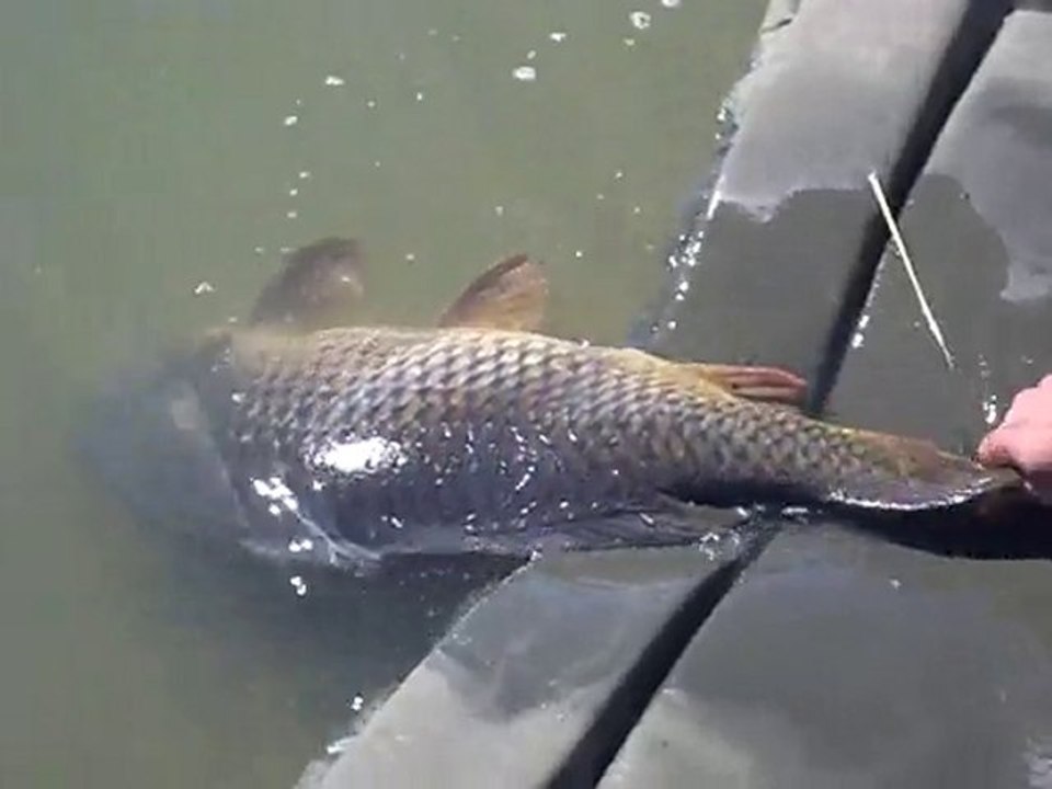 nokillus30 parti der pêche en canal