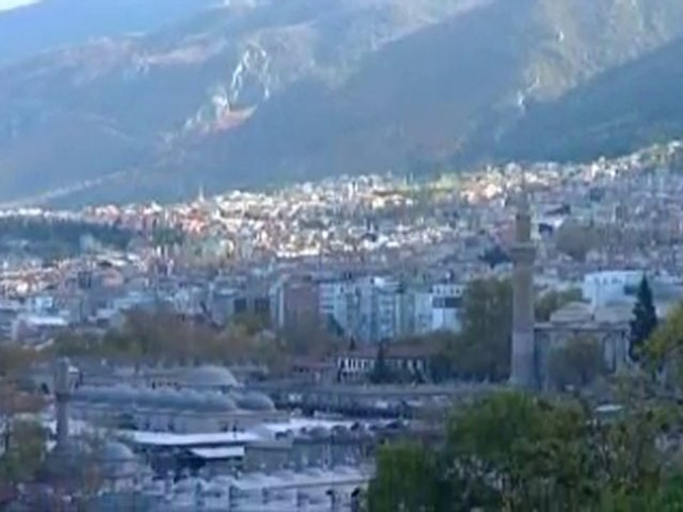 Bursa