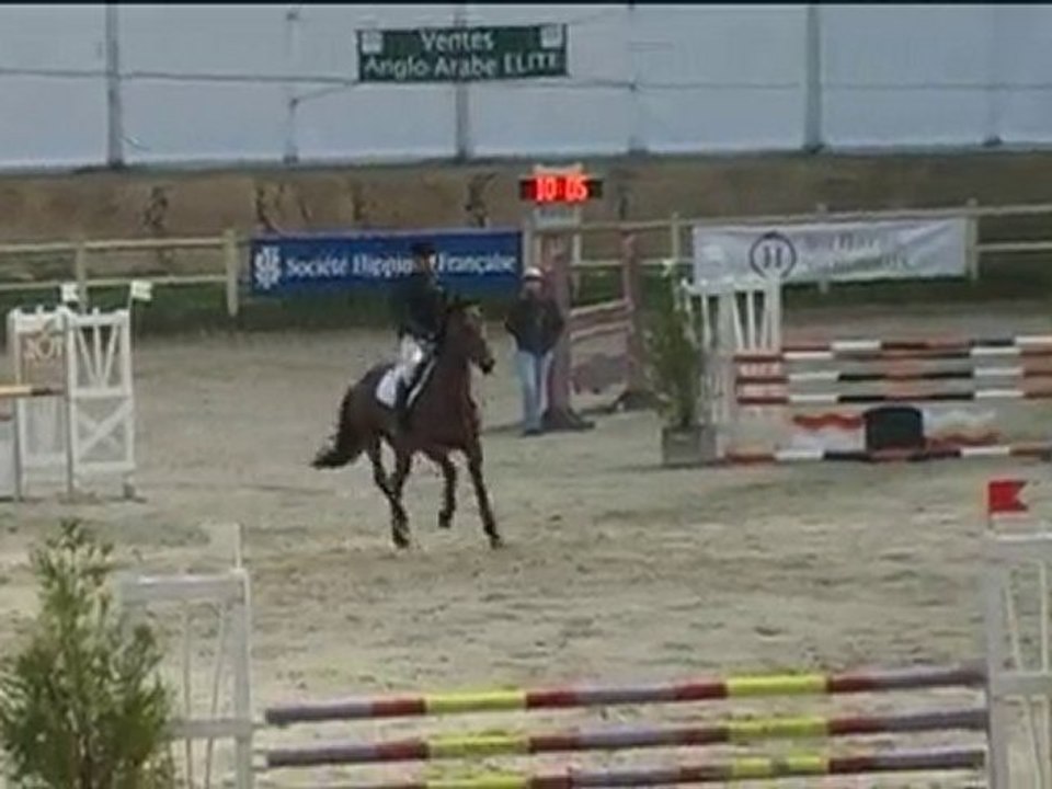 Royôme de Lancelot à Pompadour 2010