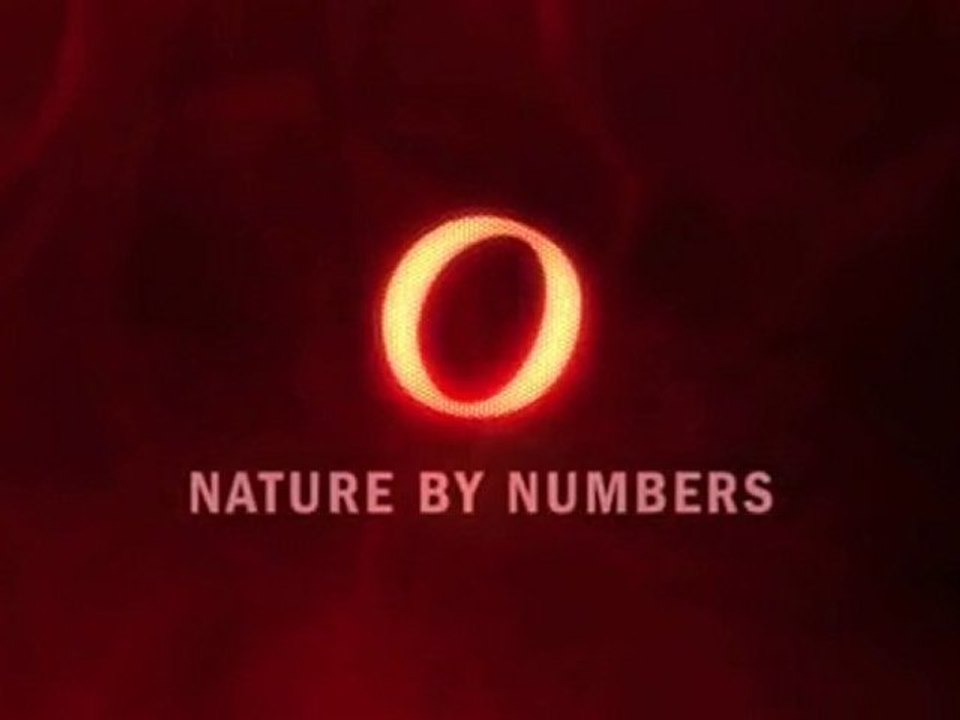 Nature in Numbers
