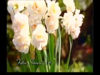 Kuran Meali: Fatır Suresi 9-35