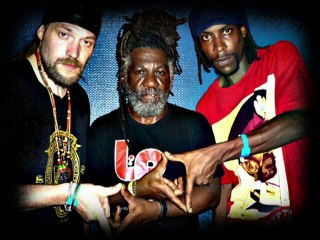 Positiv Young Lion I - La Guerre Partout