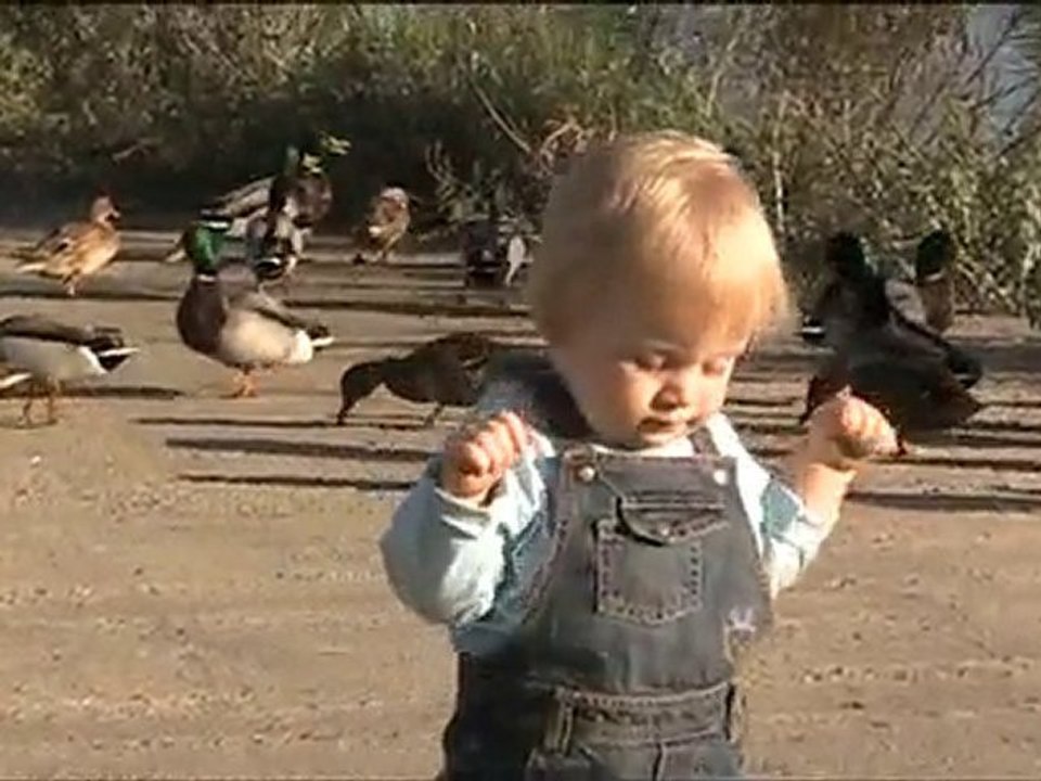 Raphaël et les canards - premiers pas !