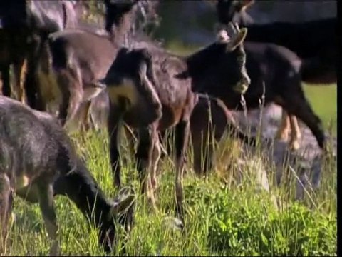 Provence Alpes Côte d'Azur
