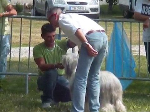 Axel Régionale d'élevage Pierrelatte 2010