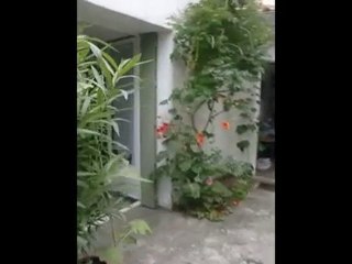 maison a vendre ile de re, ars en re 5
